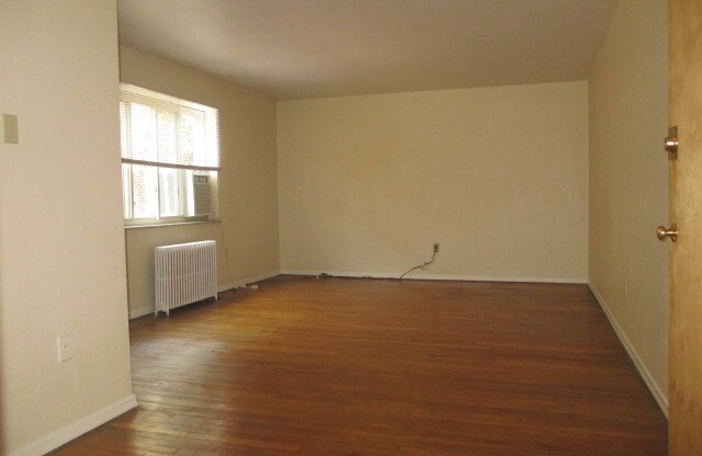 Studio, 1 bath, 410 sqft, $1,170, Unit 11
