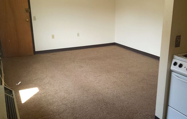 Studio, 1 bath, 162 sqft, $739, Unit 1115-A