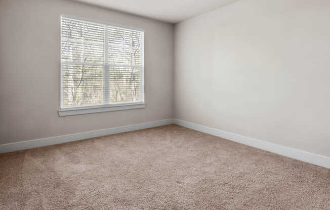 Carpeted Bedroom