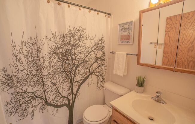 2 beds, 1 bath, 820 sqft, $795, Unit 320
