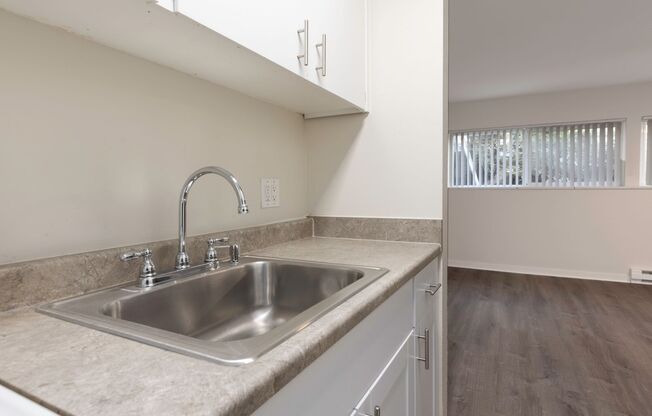 Studio, 1 bath, 384 sqft, $1,395, Unit 103