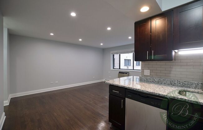 Studio, 1 bath, 369 sqft, $1,495, Unit 407