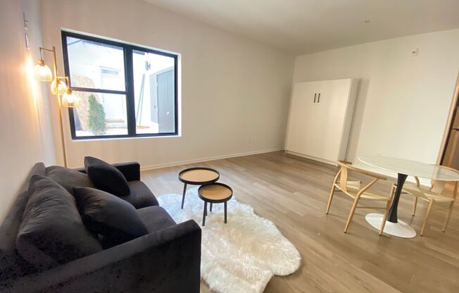 Studio, 1 bath, 414 sqft, $1,390, Unit 102