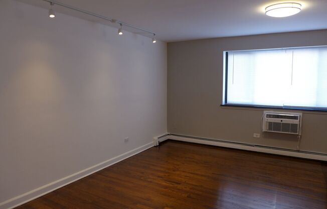 Studio, 1 bath, 305 sqft, $1,250, Unit 409