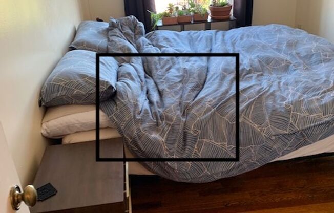 1 bed, 1 bath, 525 sqft, $1,200, Unit 3