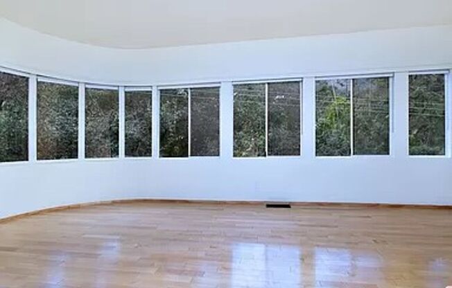 Contemporary Treehouse in Beverly Hills