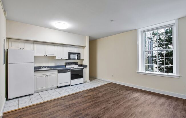 1 bed, 1 bath, 512 sqft, $1,250, Unit APT 303