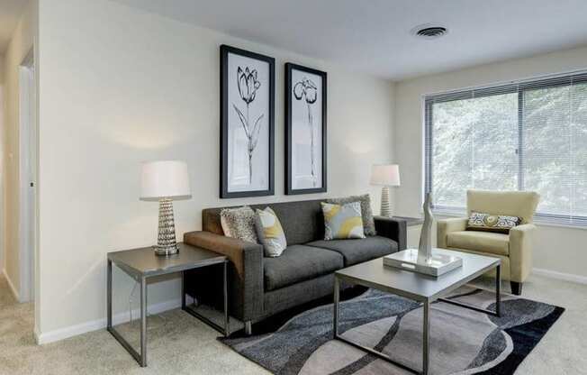 Modern Living Room at Park Adams Apartments, Arlington, 22201