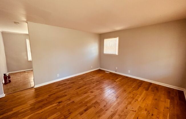 NEWLY RENOVATED - THREE BED/ONE BATH HOME WITH MOVE IN SPECIAL!