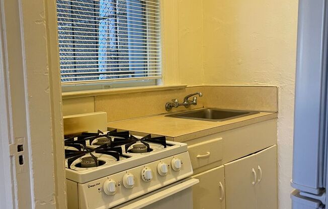 Studio, 1 bath, 350 sqft, $1,095, Unit 103