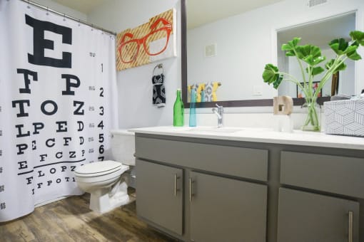 north austin tx apartments bathroom