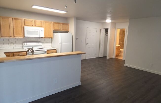 1 bed, 1 bath, 600 sqft, $1,495, Unit 1025-203