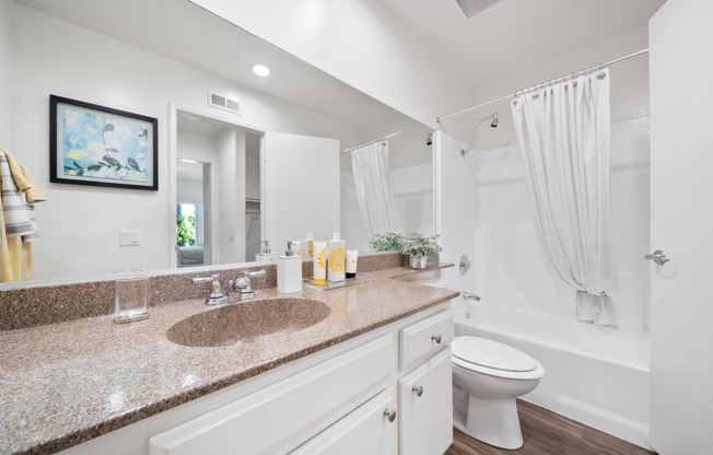 a bathroom with a sink and a toilet