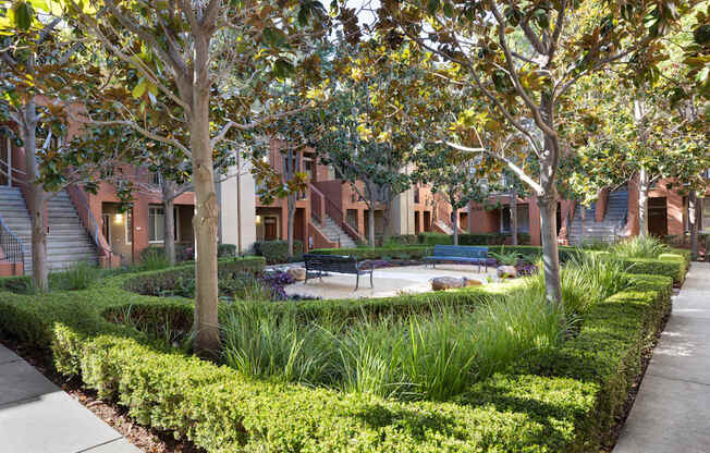 A courtyard with a bench and a tree in front of apartment buildings.
