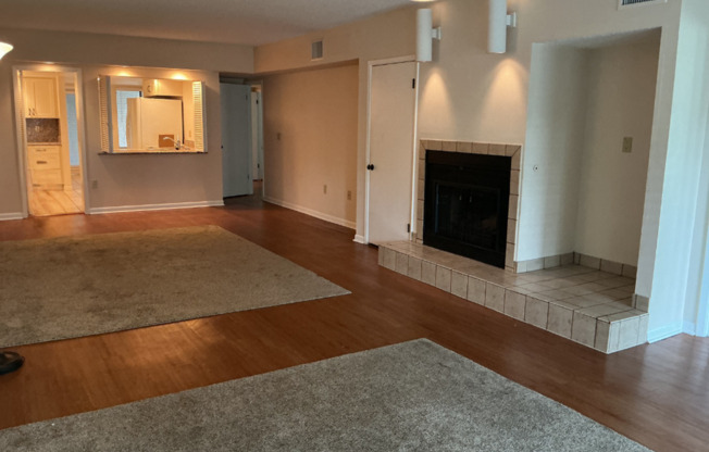 Lakeview Condo Coming Soon | Directly Across from Lake Hollingsworth