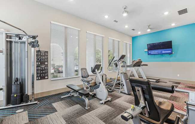 A gym with a variety of equipment including treadmills, weights, and a television.