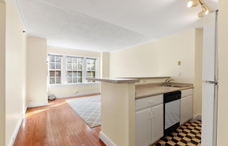 1 bed, 1 bath, 513 sqft, $3,100, Unit 302