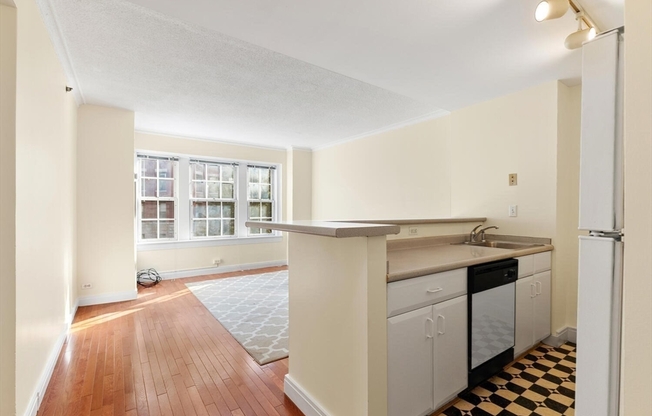 1 bed, 1 bath, 513 sqft, $3,200, Unit 302