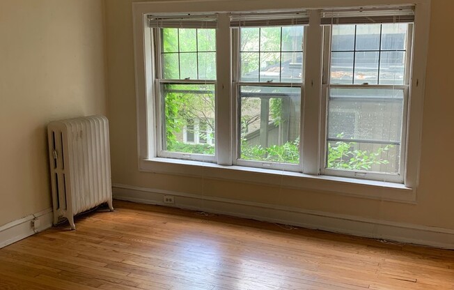 Studio, 1 bath, $795