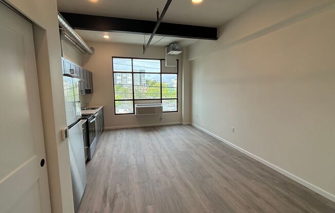 Studio, 1 bath, 398 sqft, $1,250, Unit 217