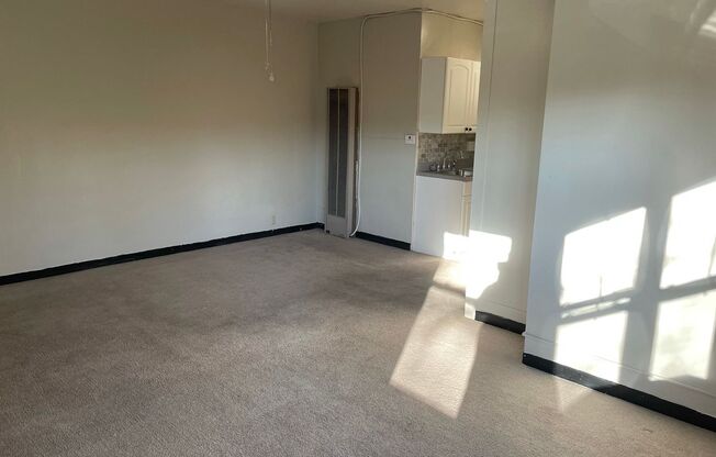 Studio, 1 bath, $875, Unit 301