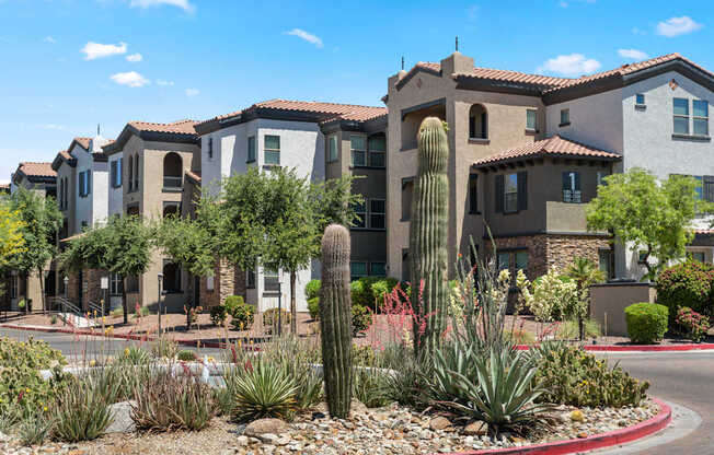 A row of houses with a cactus in the front.