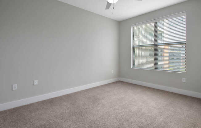 Carpeted Bedroom