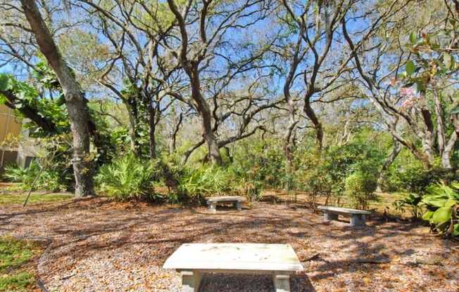 Stone Creek