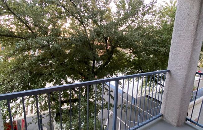 1 bed, 1 bath, $1,125