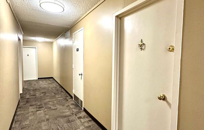Charming 1 Bedroom/1 Bathroom Condo in Charles Village, Baltimore, MD!