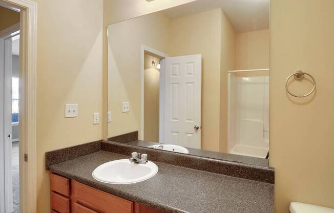 A bathroom with a sink and mirror.
