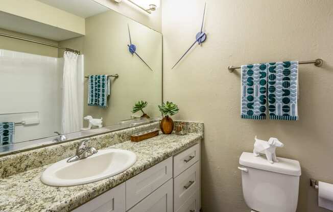 a bathroom with a sink toilet and mirror