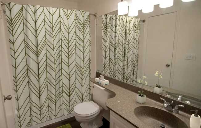 a bathroom with a shower curtain and a sink and a toilet