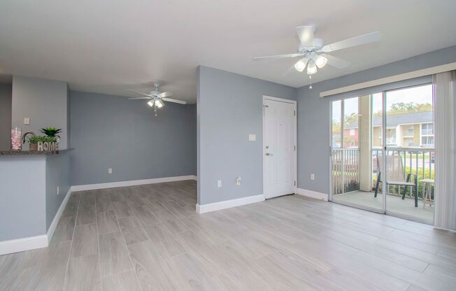 Remodeled - Ground Floor - Screened Lanai - 1 Bedroom w/ a Den and 1 Bathroom - For Lease in Brandon, FL