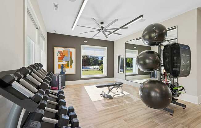 A gym with a row of treadmills, a bench, and exercise balls.