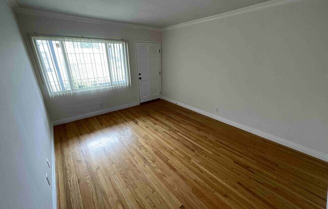 Studio, 1 bath, 420 sqft, $1,600, Unit 5