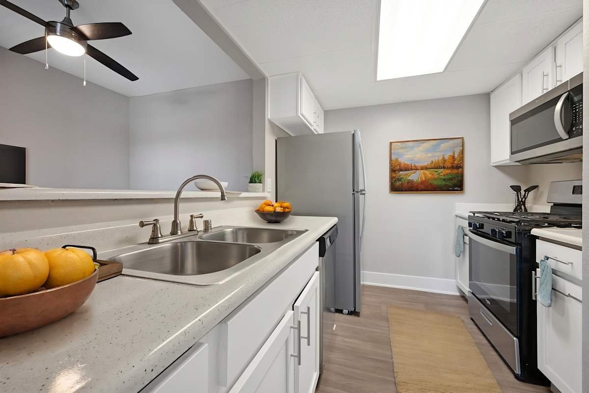 Prelude at the Park Apartments