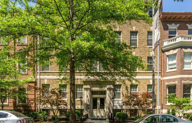 Studio, 1 bath, $1,595, Unit 005