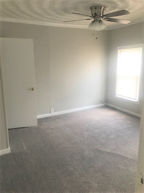 3 beds, 2 baths, $1,900