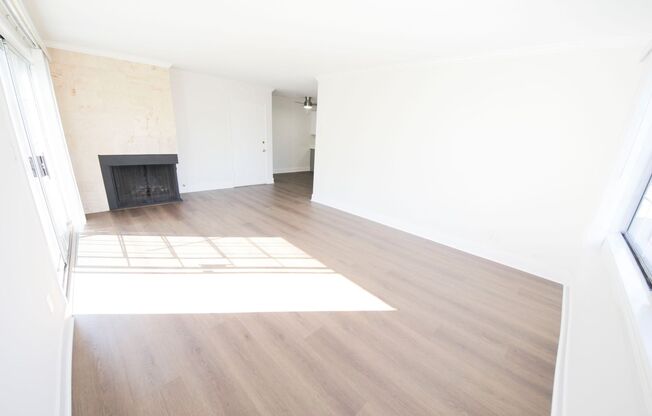 415 Venice Apartments, LLC