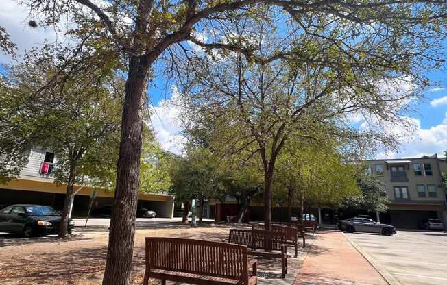 a row of benches sitting under trees on a sidewalk