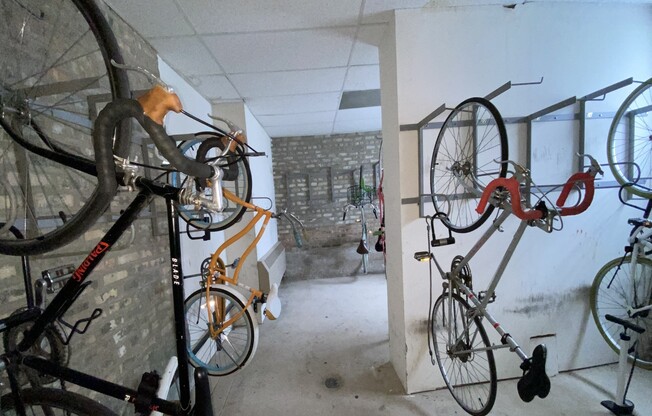 Gallery Photo 6