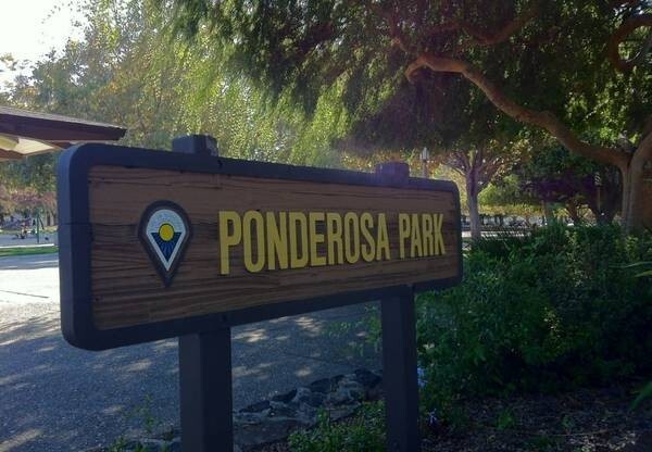 3 beds, 2 baths, 1,100 sqft, $3,850, Unit 133