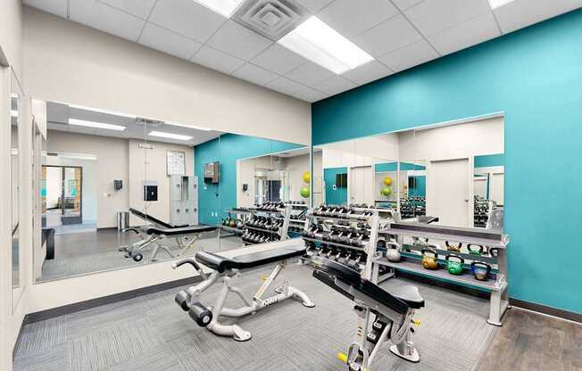 A gym with a blue wall and a mirror on the left side.