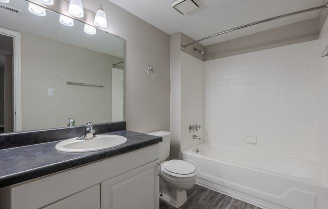 a bathroom with a sink and a toilet and a tub