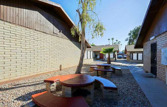 A tree in a courtyard with tables and benches.