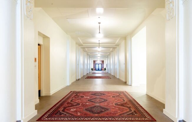 Saturday Zenith MT LLC