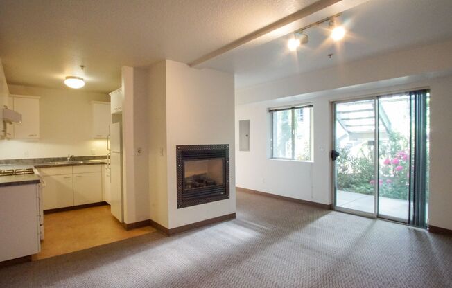 Spacious & Bright Modern Studio w/Fireplace, W/D & Patio