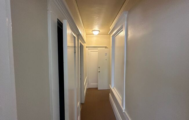 Studio, 1 bath, 350 sqft, $1,495, Unit 15