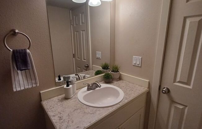 Studio, 1 bath, 550 sqft, $1,395